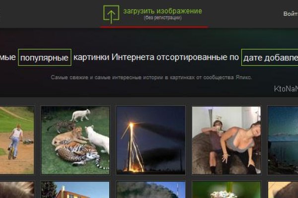 Как зарегаться в кракен
